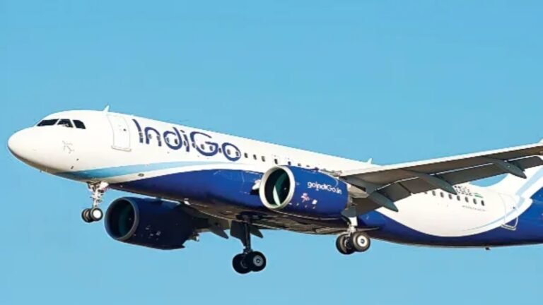 IndiGo Website Down Today: Passengers Face Booking, Web Check-In And App Login Issues