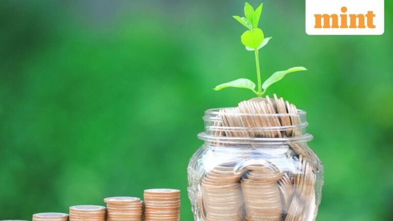 HDFC Bank launches ‘Max for Seniors’ and ‘Max for Her’ savings accounts; key features