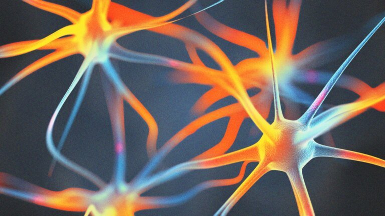 Motivation Requires More Than Willpower. Scientists Found the Brain Cells That May Help Sustain It