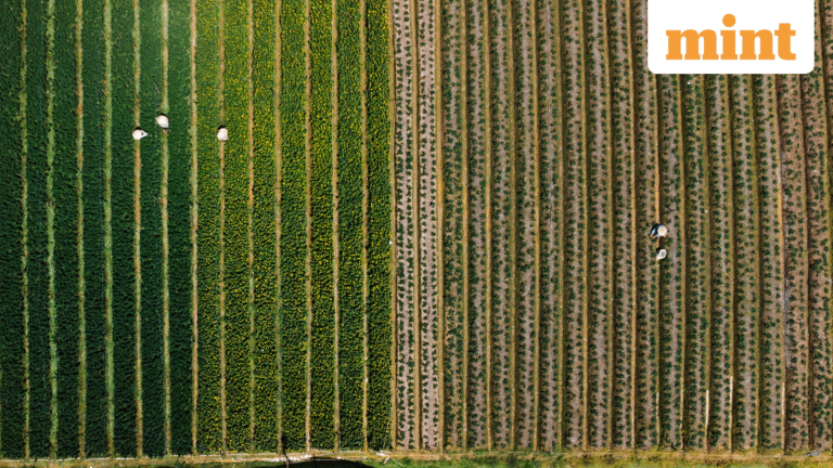 Can you claim Section 54F tax exemption on sale of inherited agricultural land? Here’s what expert says