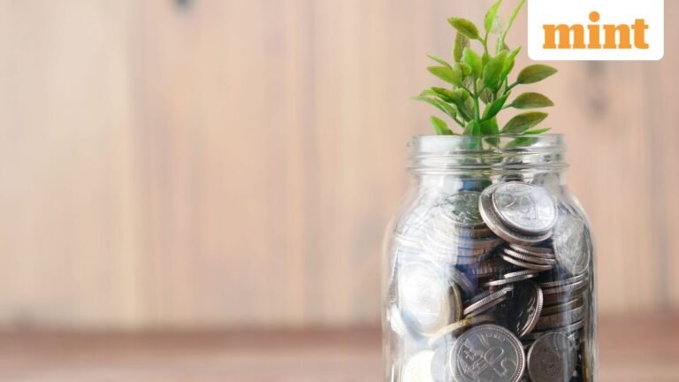 Top equity mutual funds by 1-year SIP returns: Small-cap schemes dominate; Bank of India Small Cap leads with 40% return
