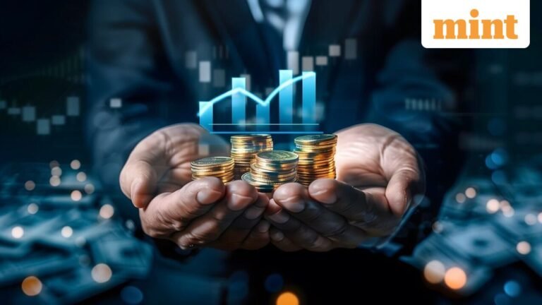 Small-cap funds see rising inflows: Are Indian investors chasing returns at the cost of risks? Experts explain