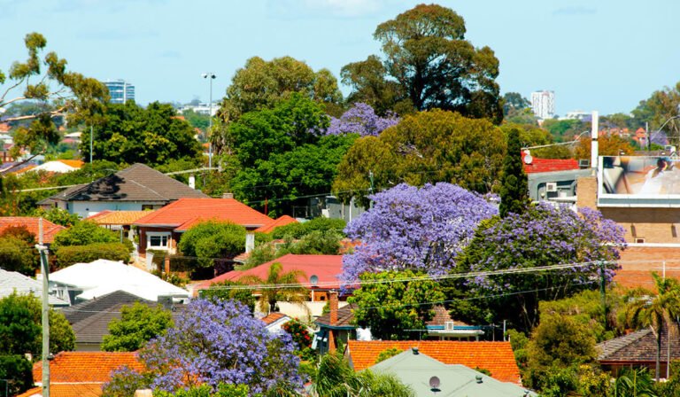 Rate hold creates a spring window for investors