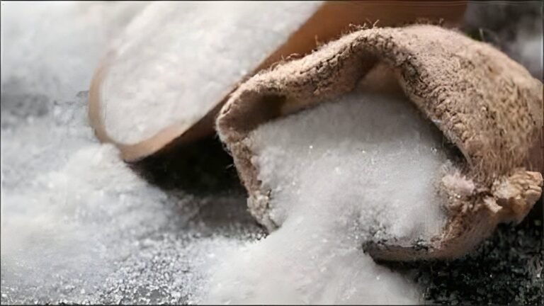 Sugar Prices Rise in India: Rates Near Rs 80/Kg; Is Ethanol Really Behind the Spike? Check Key Reasons