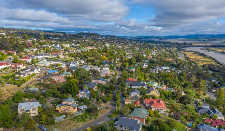 Tasmania stands tall as market softens