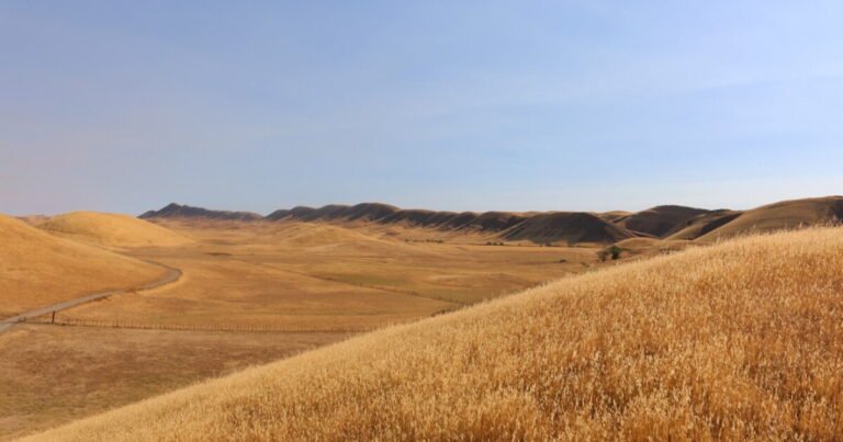 Key decisions near for California’s Sites Reservoir project