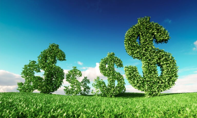 Governance tops ESG priorities as sustainable adoption rebounds
