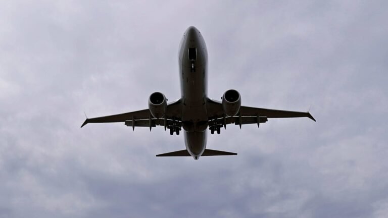 Boeing flags 737 Max navigation software glitch