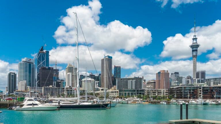 New Zealand sovereign wealth fund warns stock market pullback ahead