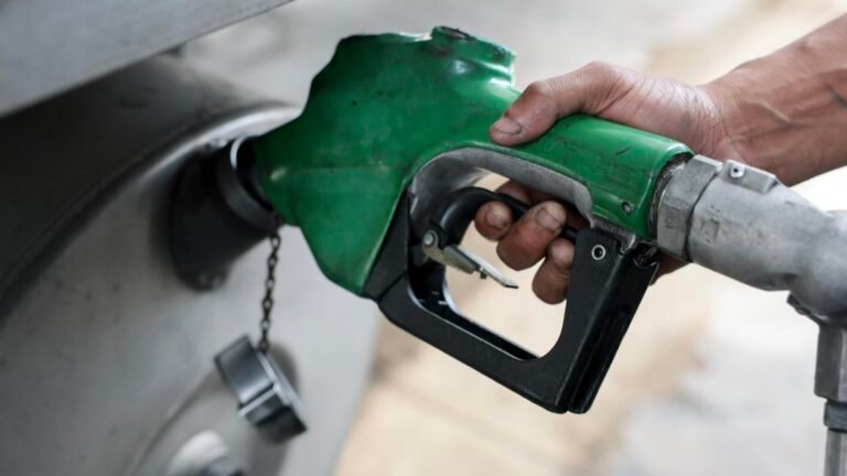 Oil industry warns diesel export ban will raise fuel prices as Trump weighs restrictions