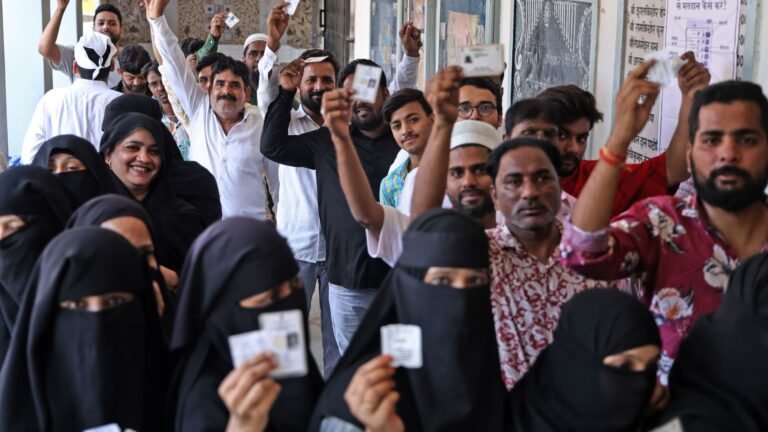 India’s viral Cockroach Party calls election panel head ‘biggest threat’ to democracy. Here’s why it matters