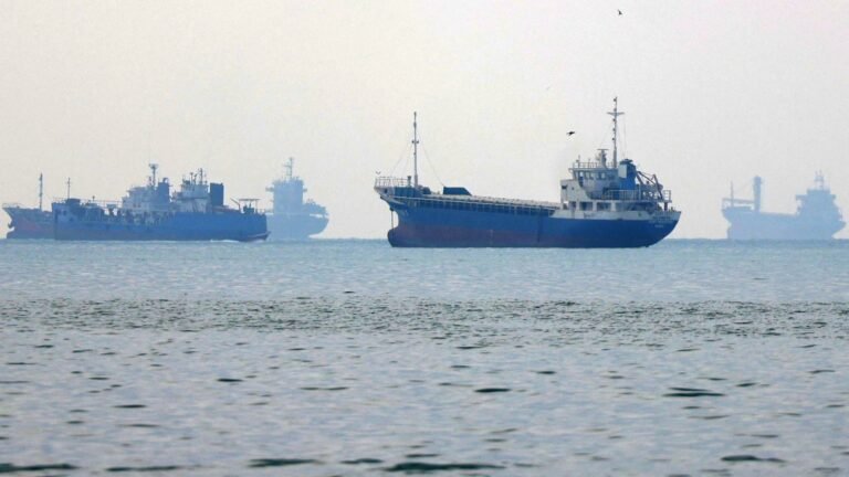 Hormuz oil shipments at prewar levels but fuel shipments constrained
