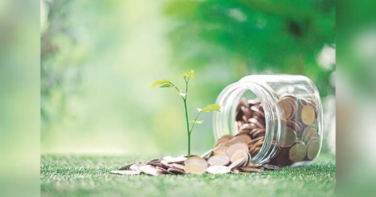 Why investors need to be cautious after run-up in small-cap funds | Personal Finance