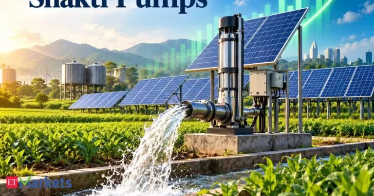 Shakti Pumps shares surge 12% on Rs 236 crore Maharashtra solar pump order