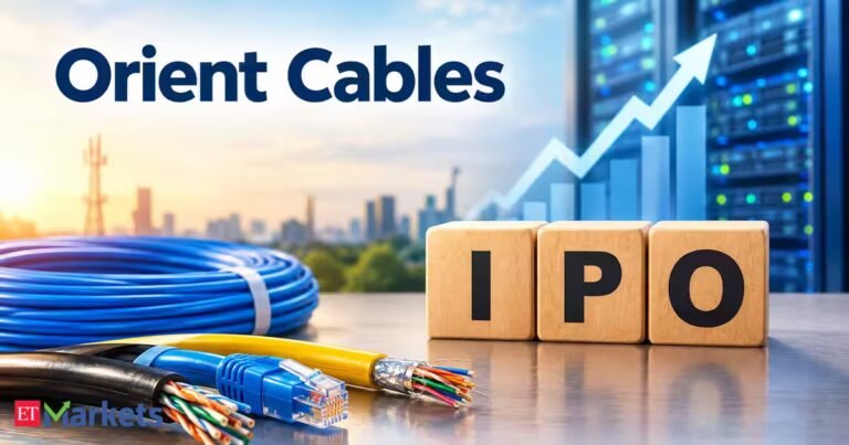 Can Orient Cables IPO deliver long-term growth for high-risk investors?