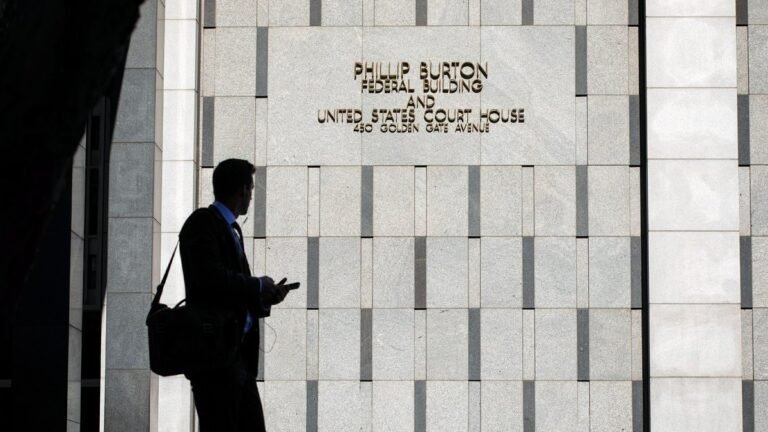 California CEO Is Charged in $100 Million Real Estate Ponzi Scheme