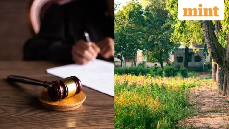 79 square yards, two Wills: Why Punjab & Haryana HC backed the adopted daughter in a property dispute