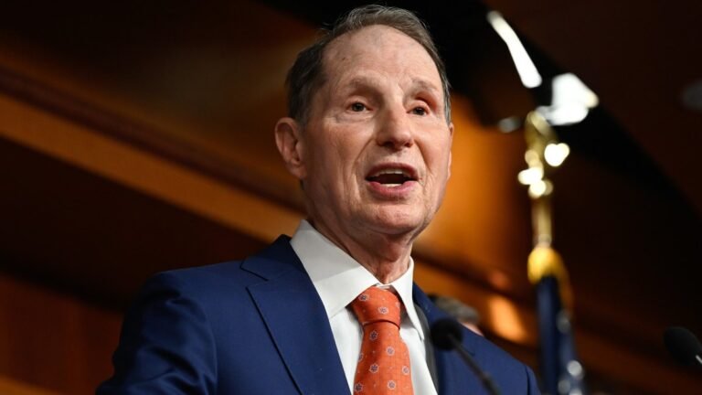 Democratic Senator Proposes New Federal Tax on Data Centers