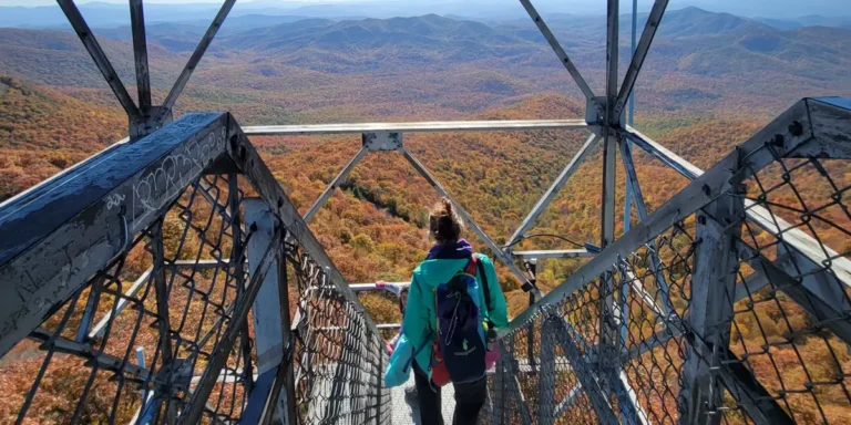 There’s One North Carolina Town I Visit Every Fall: Brevard