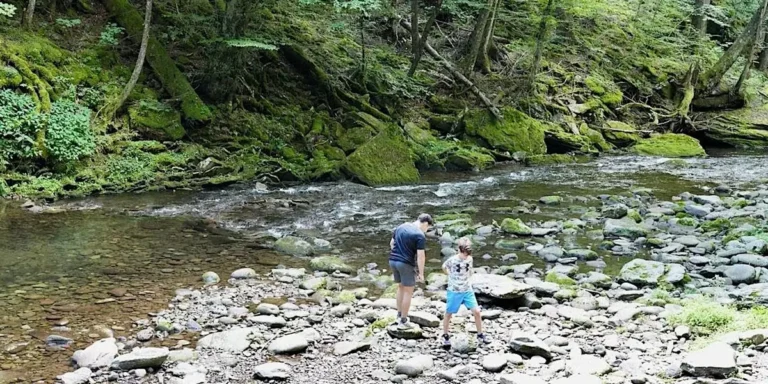 My Family of 4 Visits the Same Vacation Spot Multiple Times a Year