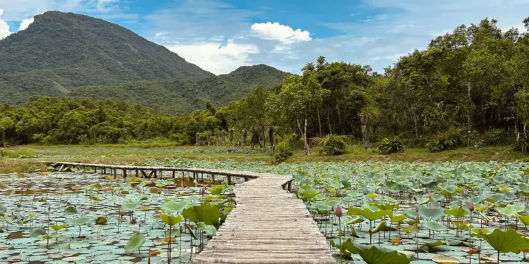 Been to 35 Countries With My Kids: Best Places I Brought Them