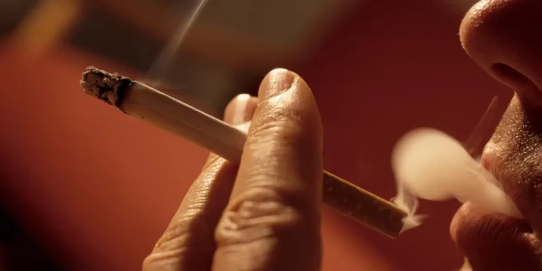 Inside the Rising Counterculture of Silicon Valley Smokers