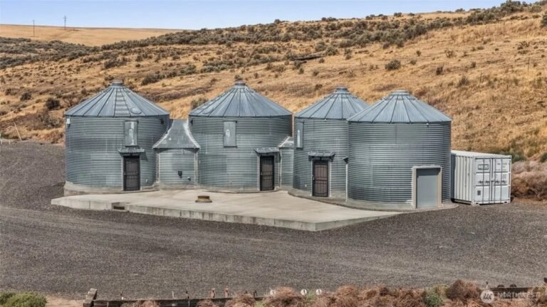 Inside a Homesteader Retreat That Uses Grain Silos for Unique Living Space