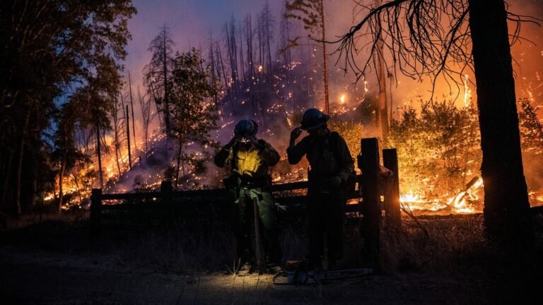 California Passes First-in-Nation Insurance Reform for Smoke Damage Claims