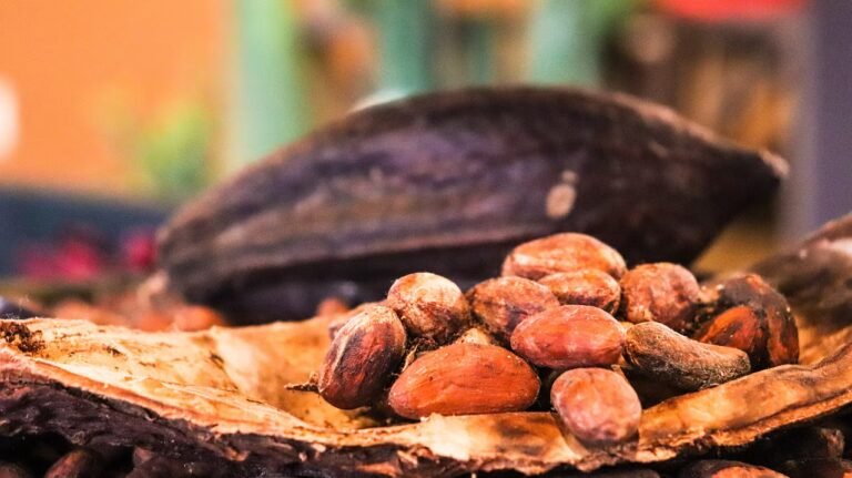 Cocoa Prices Rebound on Ivory Coast Weather Concerns