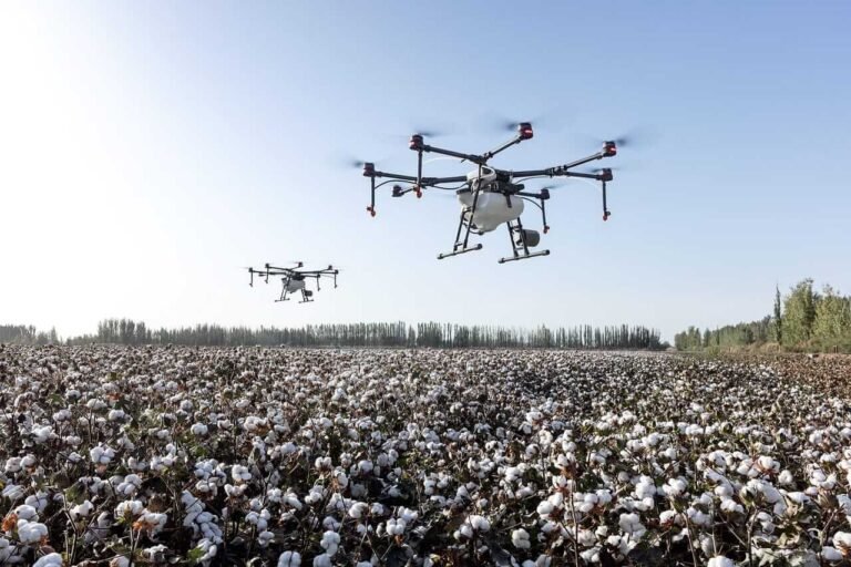 Cotton Losses Extend to Friday