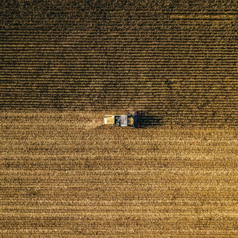 Wheat Posts Mixed Trade on Monday