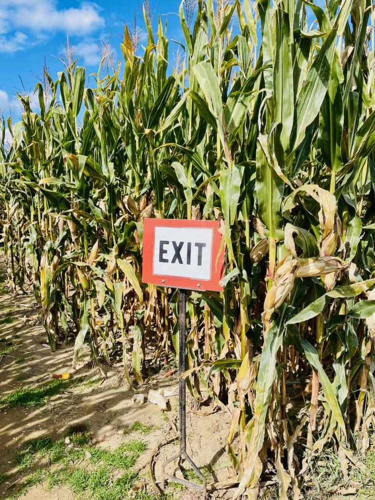Spot Bitcoin ETFs See $450M Outflows After Senate Stalls CLARITY Act