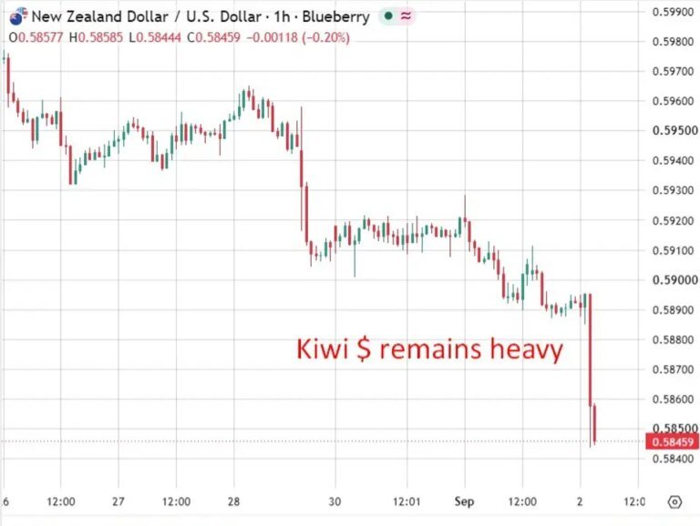RBNZ chief says rate settings still accommodative despite hikes