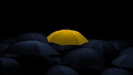 Market Risks Looming? Why Bitcoin ETFs Are Standing Out