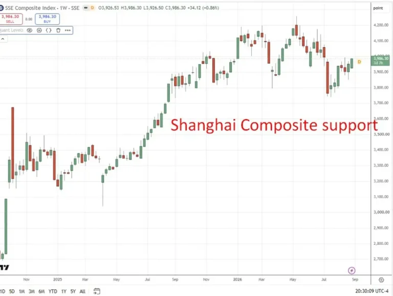 New report shows scale of China’s state-backed equity market support, State capital and buybacks