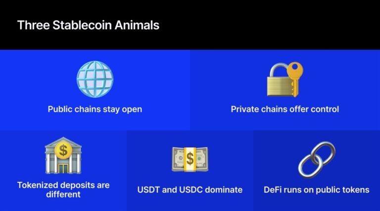 The Stablecoin Story Is Not About a Single Digital Dollar