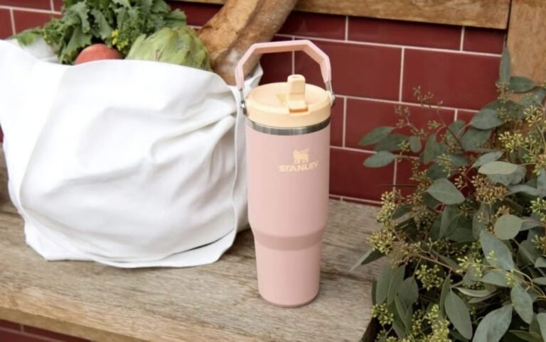 Stanley’s Labor Day Sale Ends Tonight With Up to 40% Off Tumblers, Bottles, and Mugs