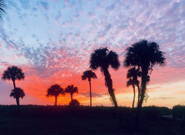 One Of The Most Prominent VCs In The World Opens An Office In Florida