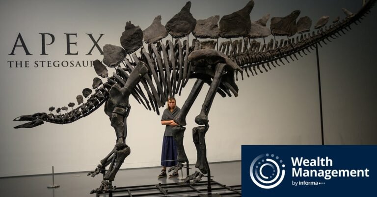 How to Value Fossils and Other Non-Traditional Collectibles