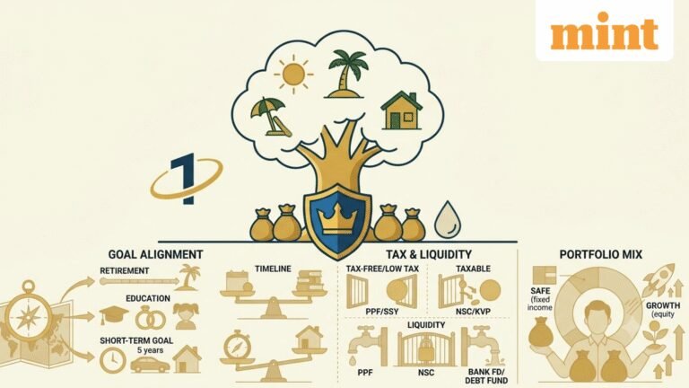 PPF, NSC, KVP or SSY: How many small savings schemes should you have in your investment portfolio