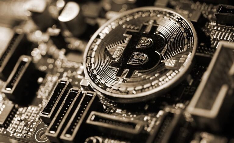 Institutional crypto capital held firm through a 50% drawdown, study finds