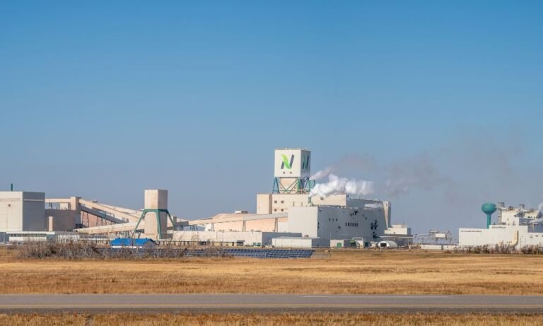 Potash stocks drop 4% on Trump’s Belarus pitch