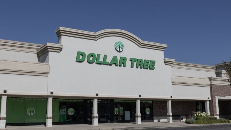 Dollar Tree Luxuries for Retirees in Summer