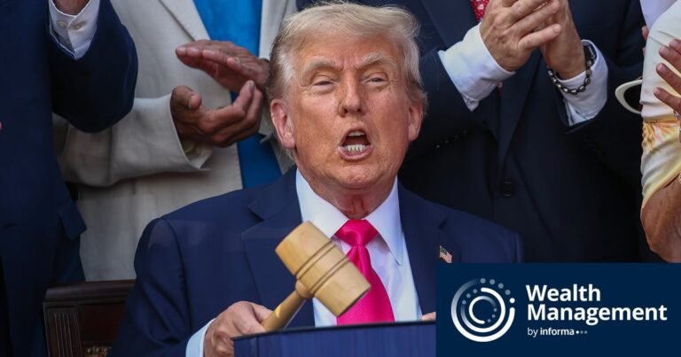Trump Planning Sweeping Audit of Left-Wing Nonprofits