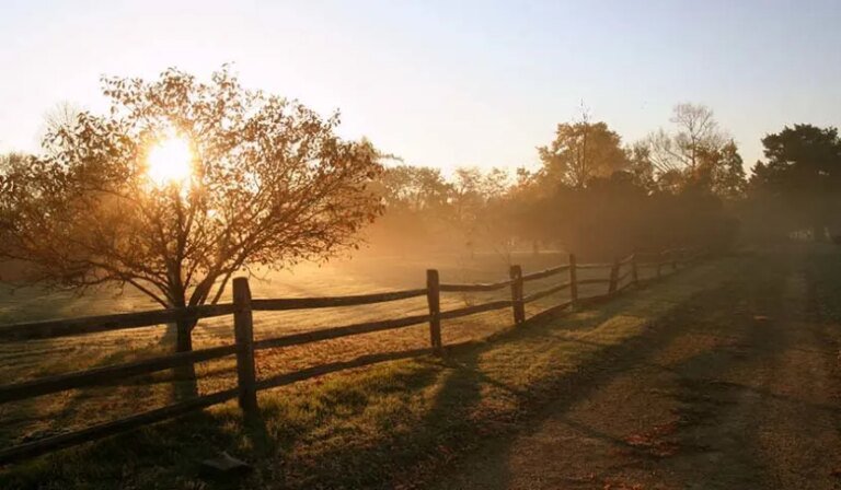 WA agricultural buyers switch priorities