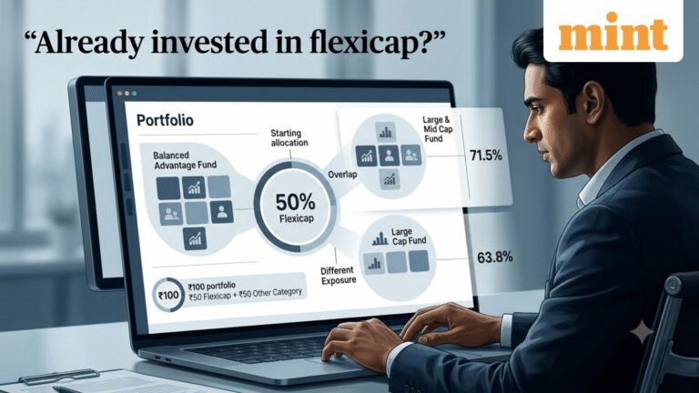 Already invested in flexi-cap? Avoid these 3 categories when adding more funds to limit portfolio overlap