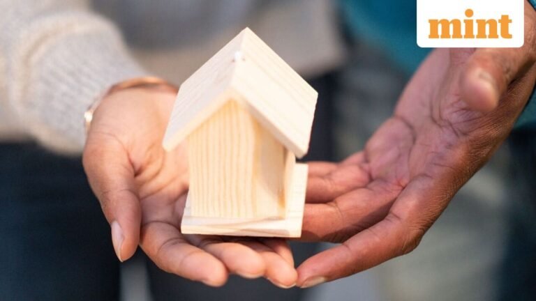 Tax benefits on co-owned house hinge on actual contribution, not ownership share