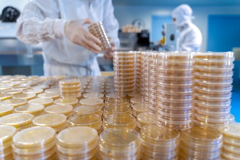 Roivant Sciences: Diverse Exposure To Biotech Niches Through Vants