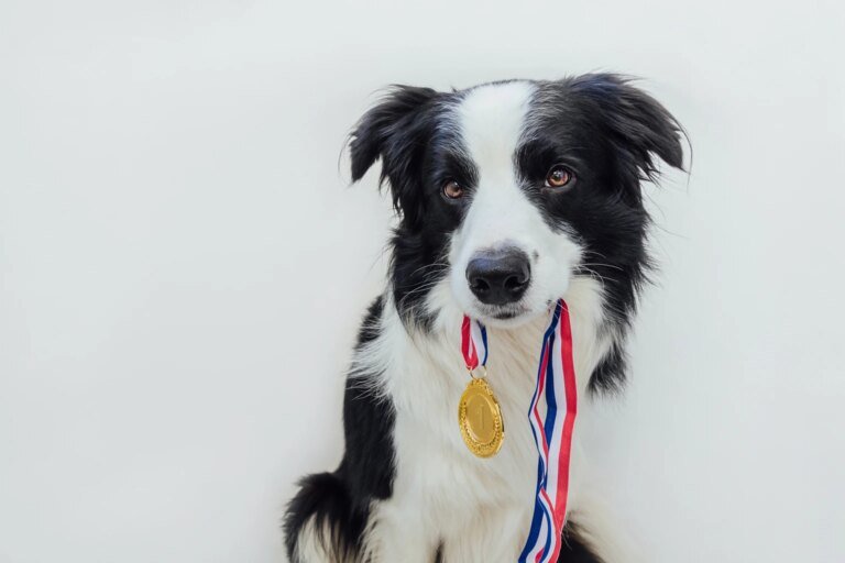IDOG: Ex-U.S. 4.2% Yield, Moderate Risk, Solid Track Record (Rating Upgrade)