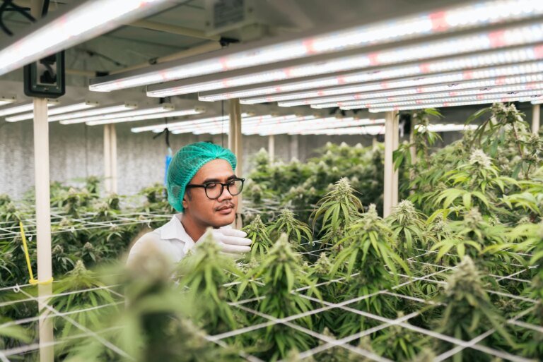 NewLake Capital: My Favorite 11% Dividend Yield Investment (OTCMKTS:NLCP)